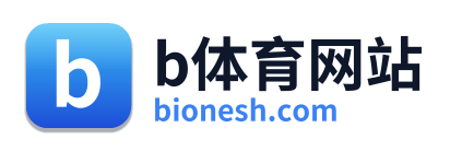 b体育网站